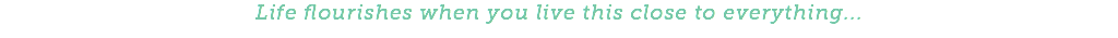 Life flourishes when you live this close to everything...